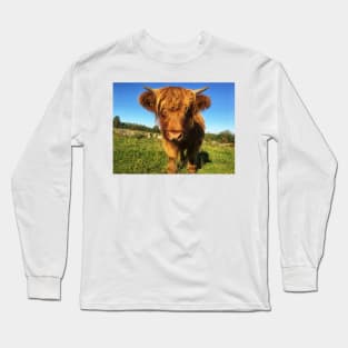 Scottish Highland Cattle Calf 2092 Long Sleeve T-Shirt